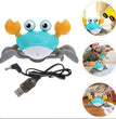 Cute Crab Toy Adeeba's Collection
