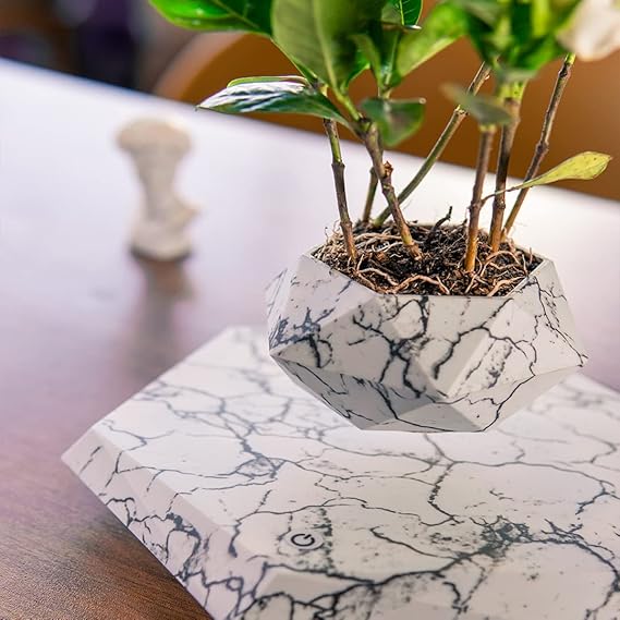 Elegant Levitating Planter for Home Décor TrendyZone
